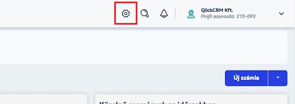Billingo beállítások
